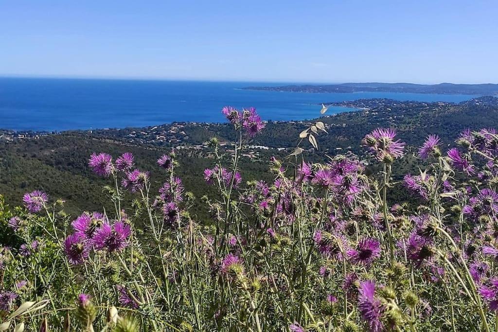 Aphrodite By Kleidos - Tres Belle Maison 6 P Climatisee Golfe Sainte Maxime Roquebrune-sur-Argens Eksteriør billede